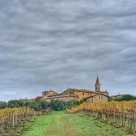 House With A View In Tuscany San Gusme Екстериор снимка