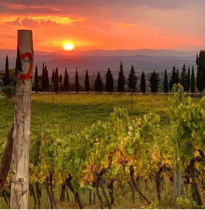 House With A View In Tuscany San Gusme Екстериор снимка
