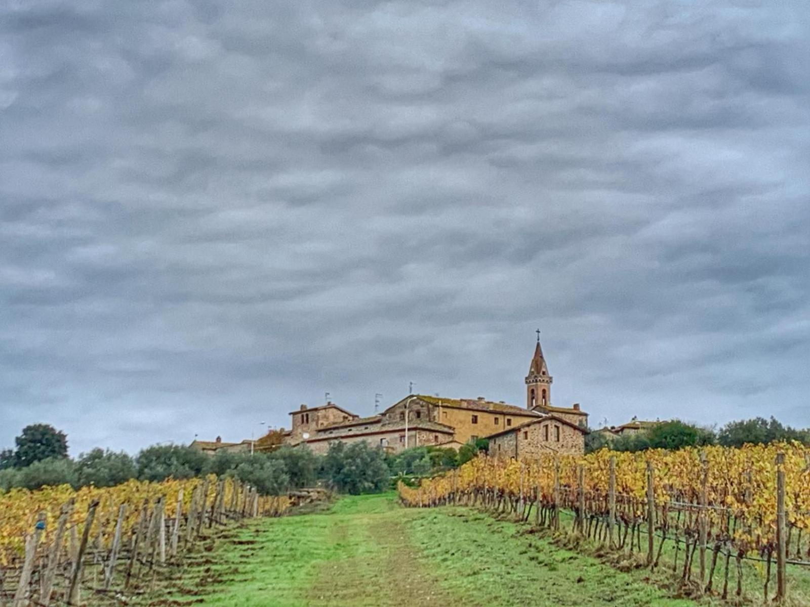 House With A View In Tuscany San Gusme Екстериор снимка