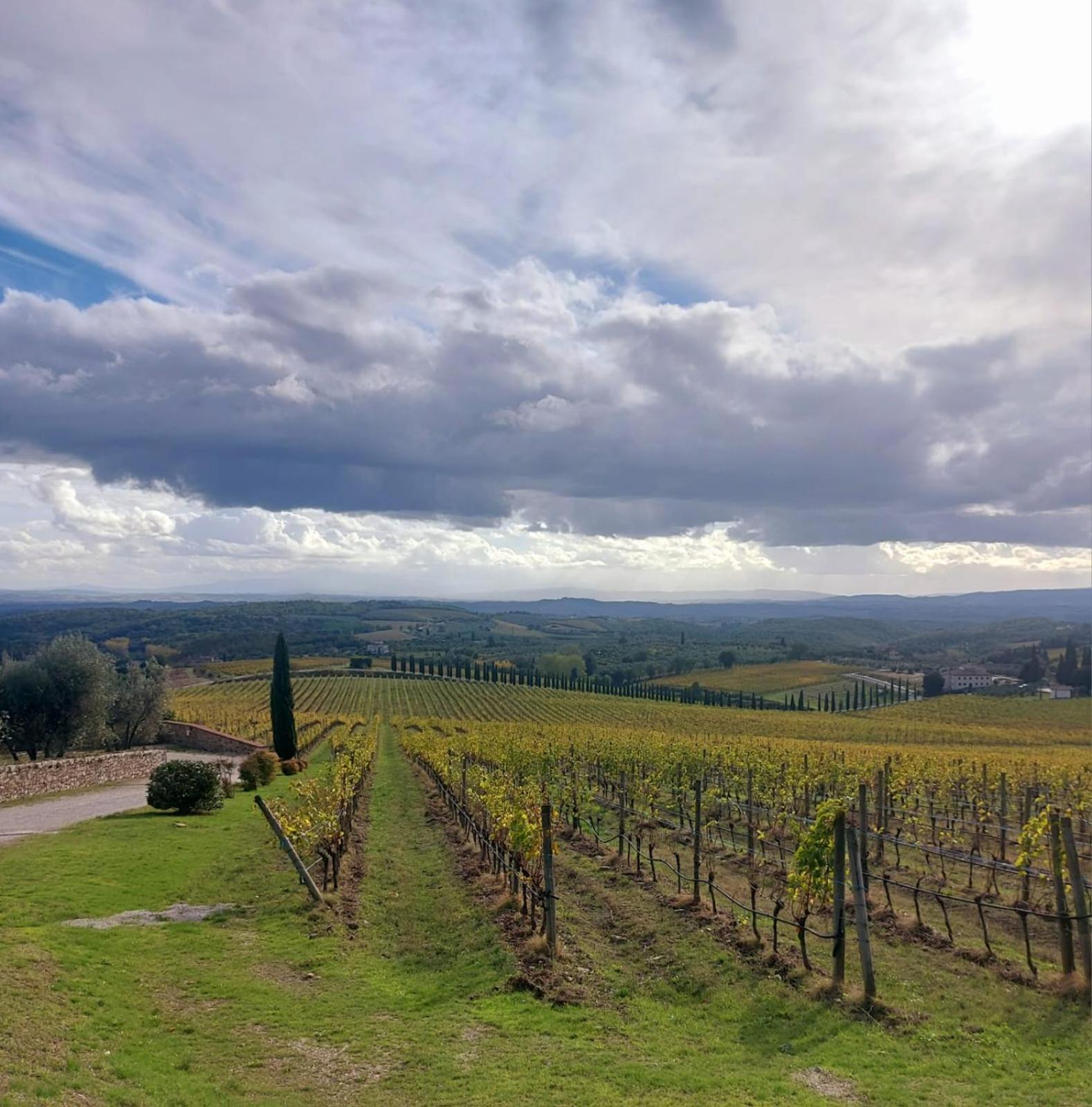 House With A View In Tuscany San Gusme Екстериор снимка