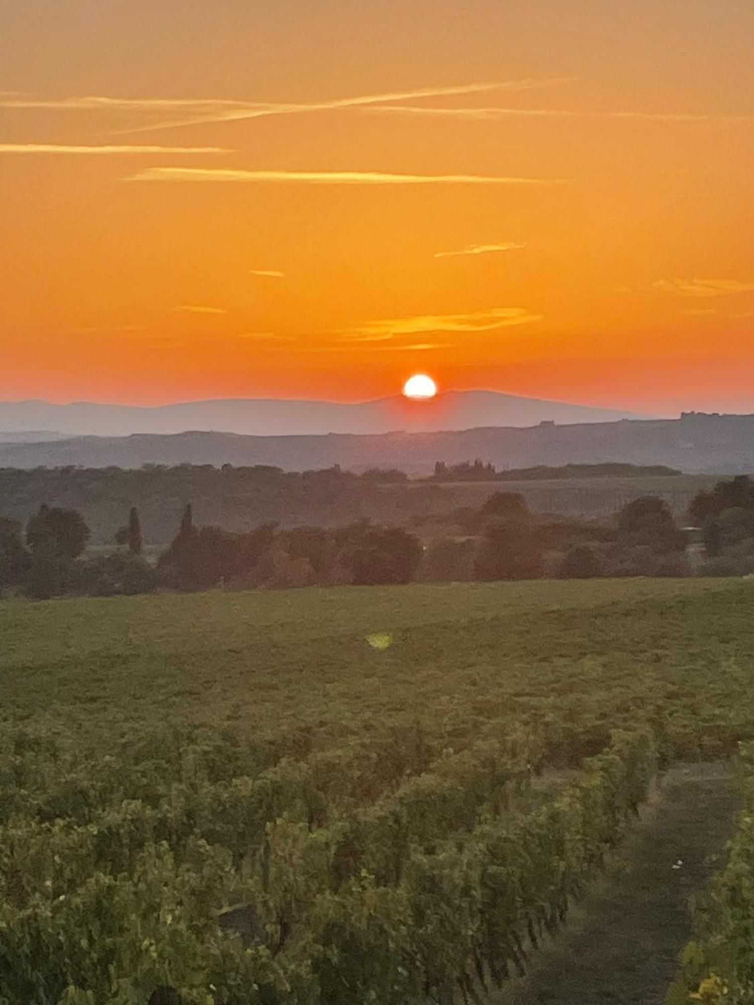 House With A View In Tuscany San Gusme Екстериор снимка