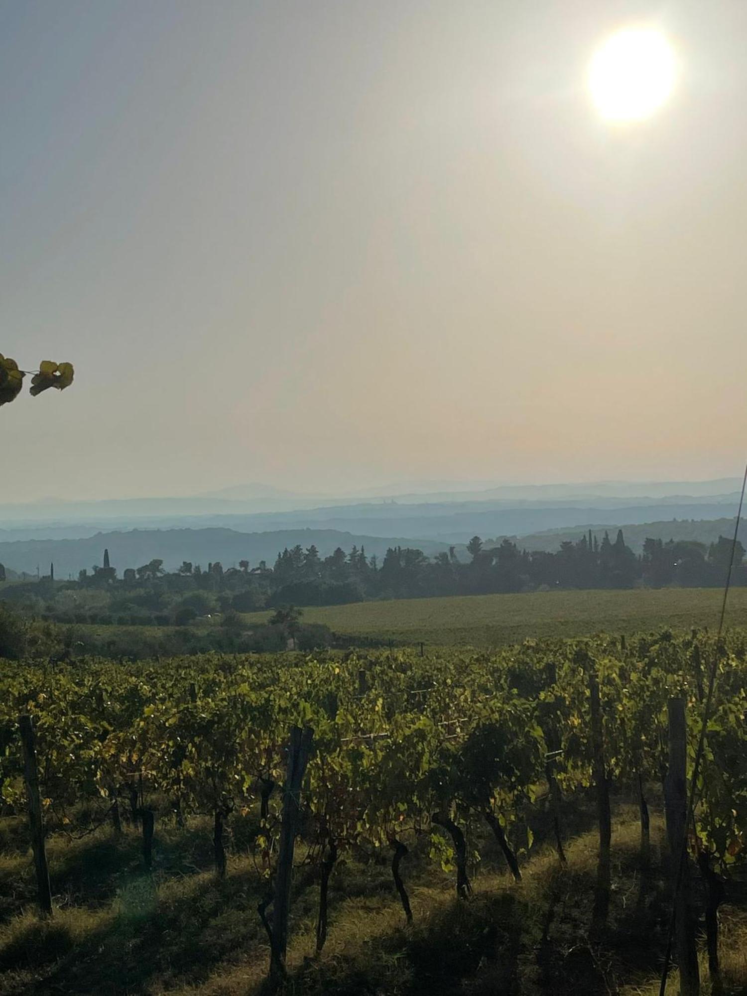 House With A View In Tuscany San Gusme Екстериор снимка