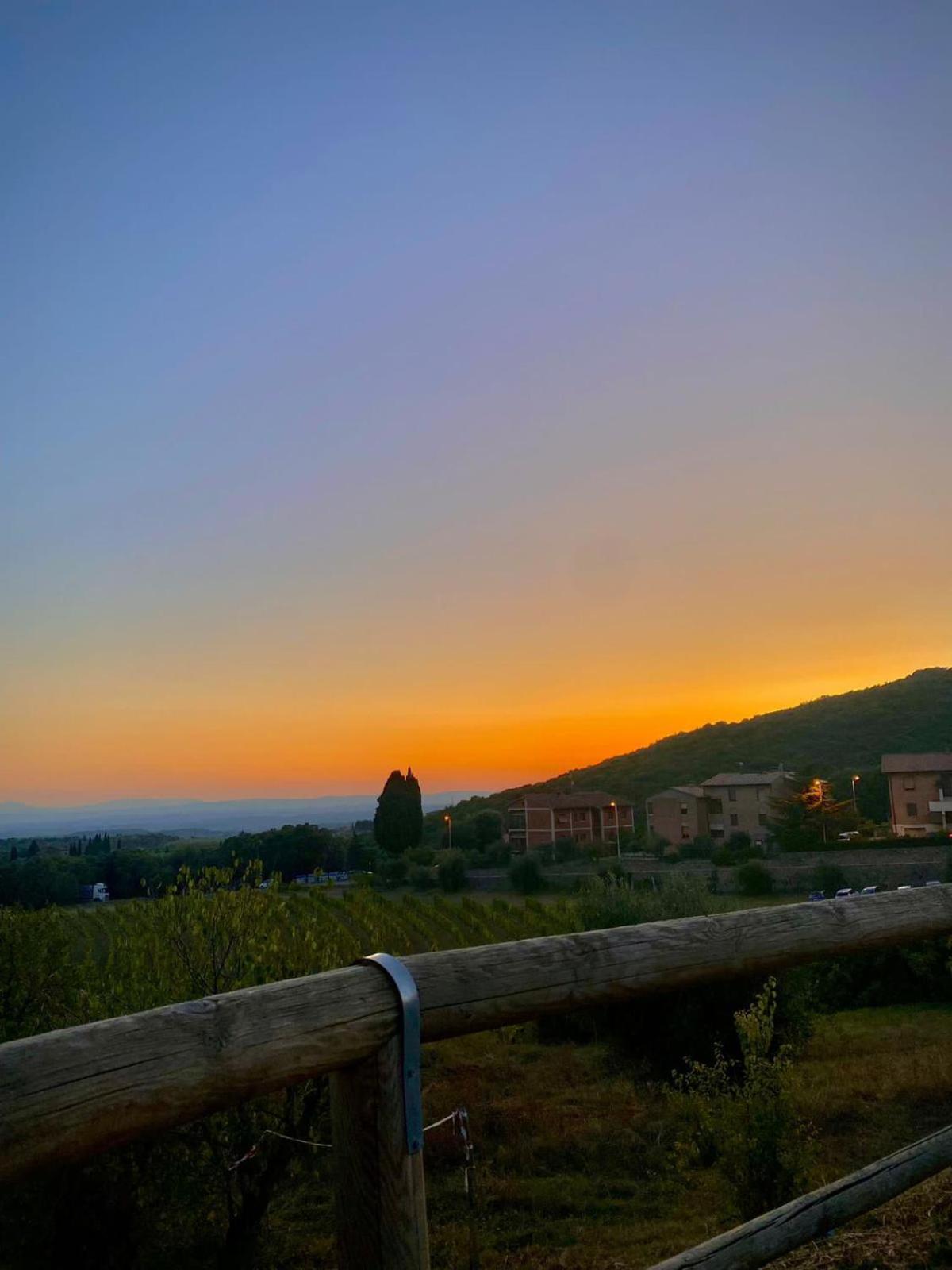House With A View In Tuscany San Gusme Екстериор снимка