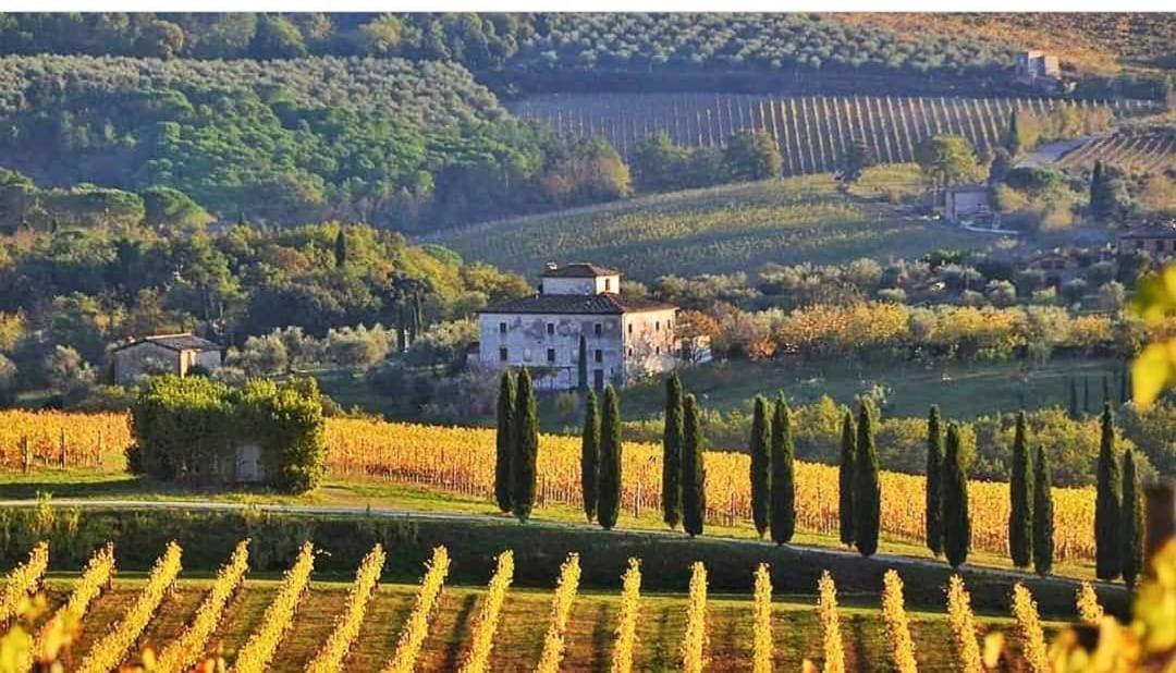 House With A View In Tuscany San Gusme Екстериор снимка
